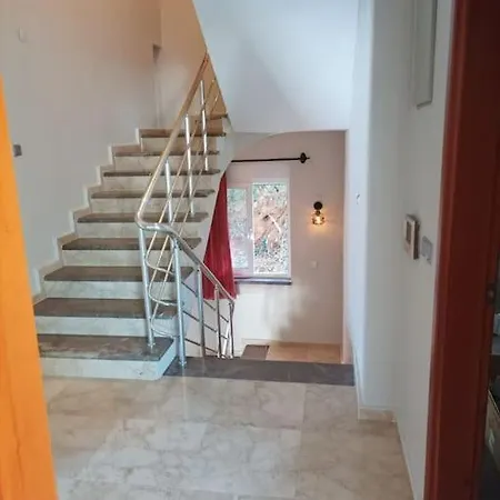 ホテル Modern House In Perfect Location アランヤ