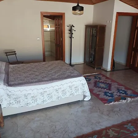 Modern House In Perfect Location ホテル
