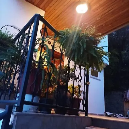 Modern House In Perfect Location فندق ألانيا